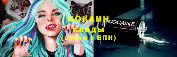 ECSTASY Дмитров
