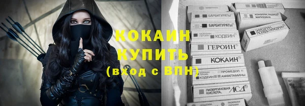 кокс Елизово