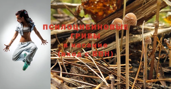 МДПВ Дмитриев