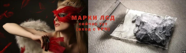 кокс Елизово