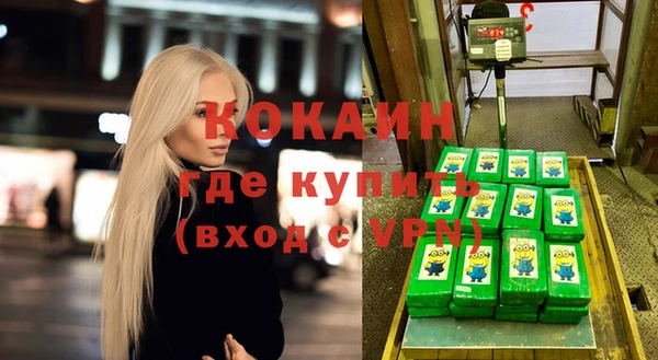 МДПВ Дмитриев