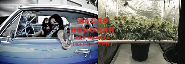 кокс Елизово