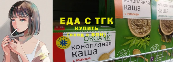 МДПВ Дмитриев